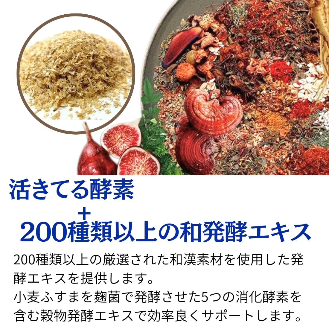 【栄養機能食品】イースト×エンザイム ダイエット 150回分 (60粒 × 5袋 計300粒)銅と亜鉛配合 MDC メタボリック - 画像 (2)